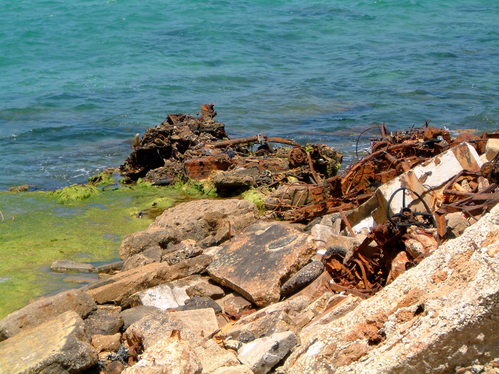 WhatsApp Image 2022-07-26 at 10.19.02 AM.jpeg